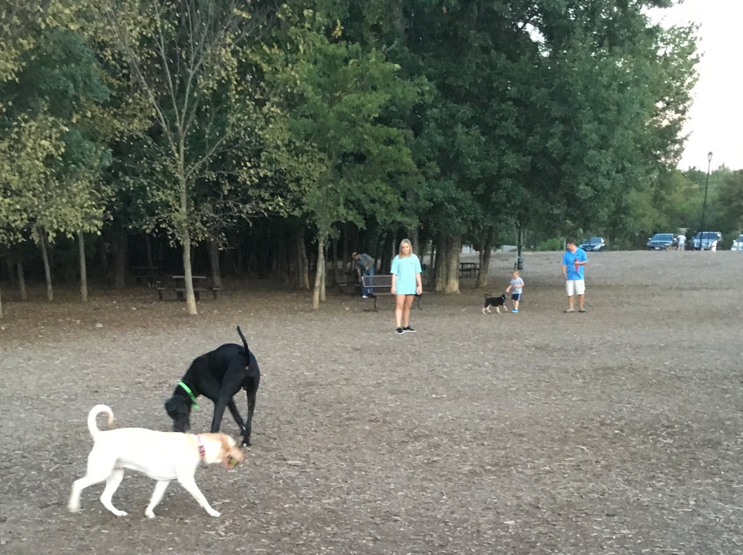 Dog Park at Bonnie Wenk-麦金尼必去景点
