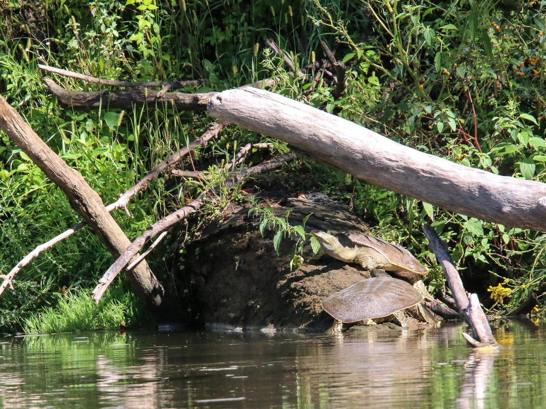 River Rats Outfitters Canoe & Kayak Rentals & Sales-Lanesboro必去景点