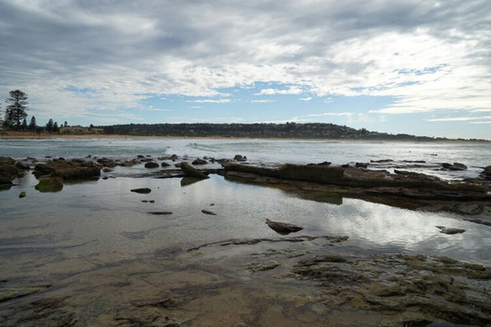 Manly Freshwater Parish-曼利议会必去景点
