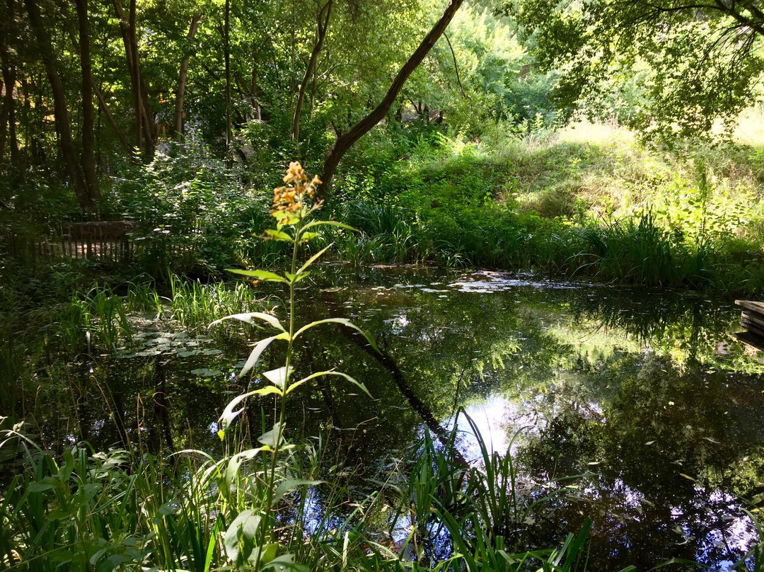 Jardin Naturel Pierre-Emmanuel景点图片