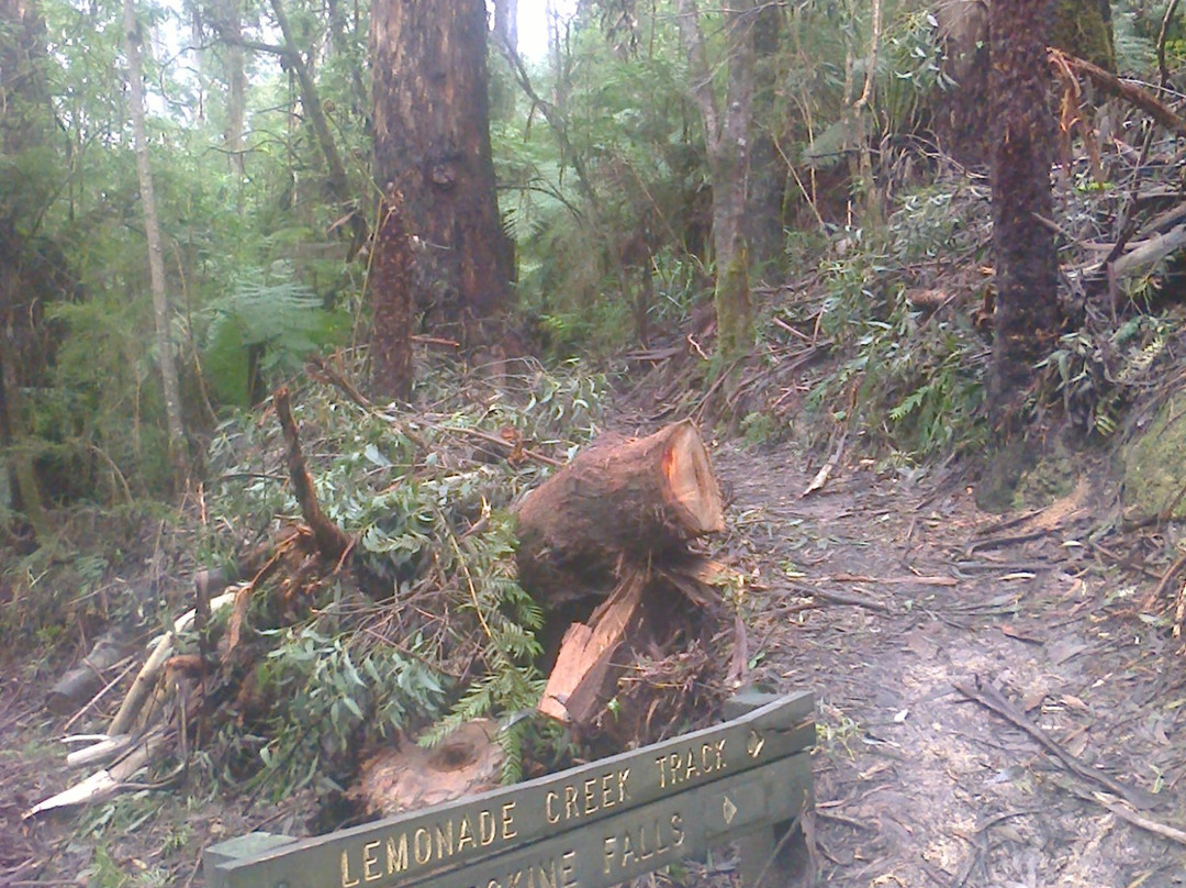 Cora Lynn Cascades Walk-洛恩必去景点