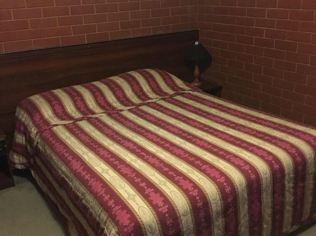 Junction Motel Wagga主图