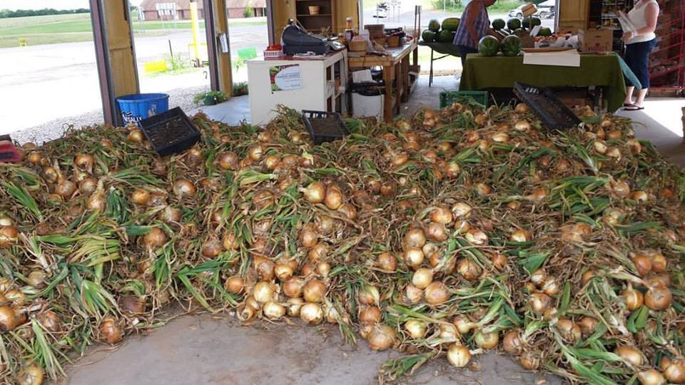 Atkins Family Farms-Byars必去景点