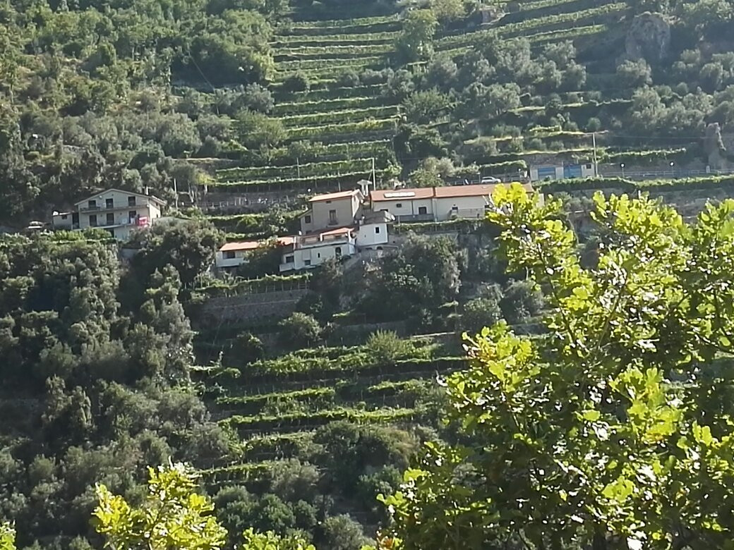 福罗瑞餐馆和美食-Serafina Agriturismo