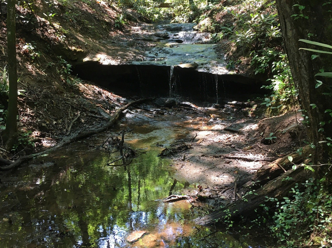 Bakers Mountain Park景点图片