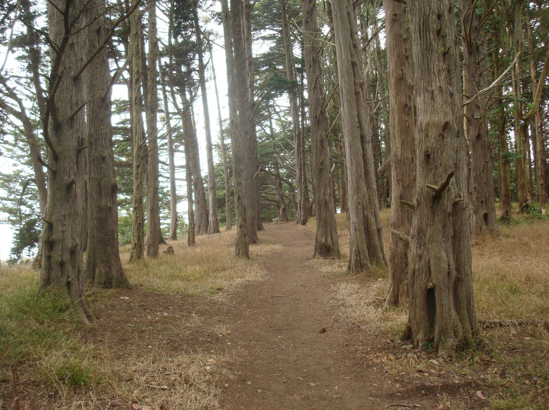 麦莱恩公园-旧金山必去景点