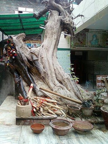Gurudwara Tilla Baba Farid景点图片