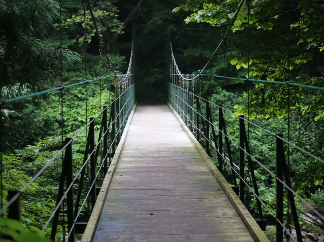 Odana Falls-富士市必去景点