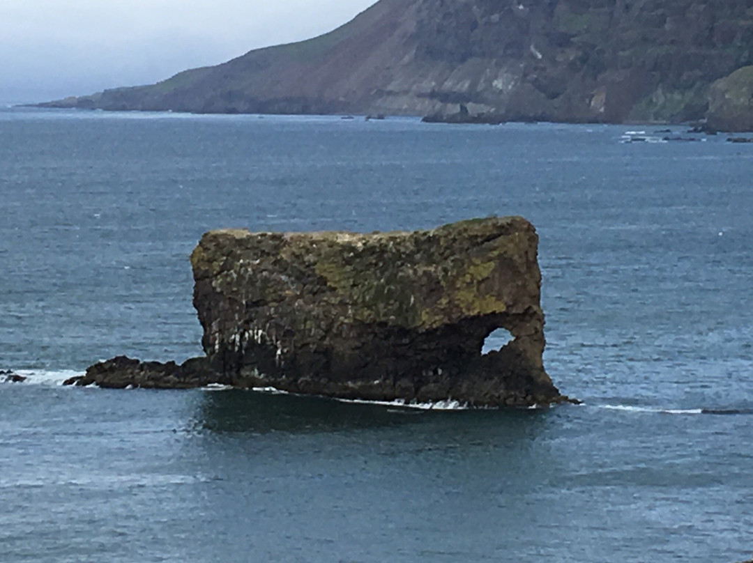Thorshofn旅游景点-The Elephant Ljosastapi