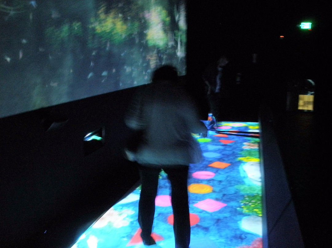 Pace Art and Technology-门洛帕克必去景点