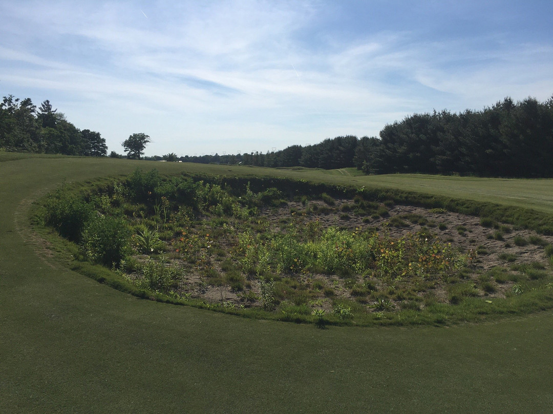 Otter Creek Golf Club景点图片