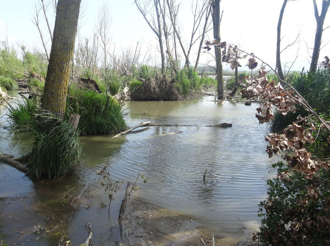 Riserva Naturale Lago di Montepulciano-蒙特普尔恰诺必去景点