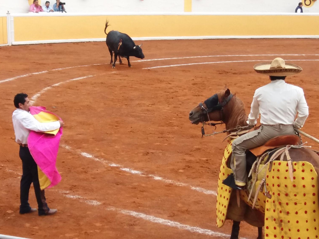 Plaza de Toros Provincia Juriqulla景点图片