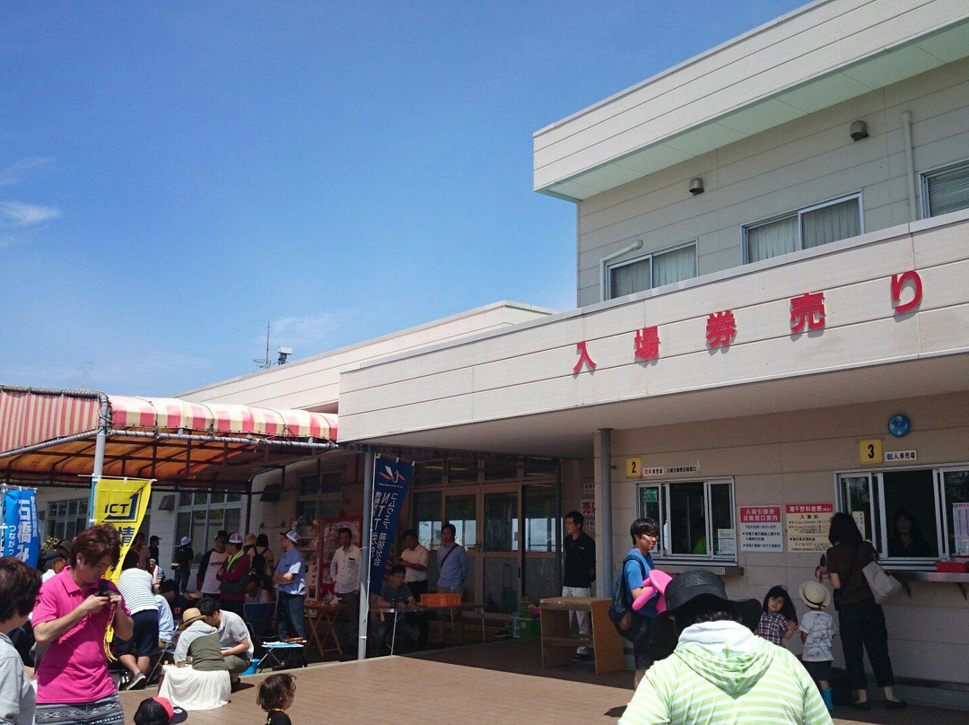 Futtsu Beach-富津市必去景点