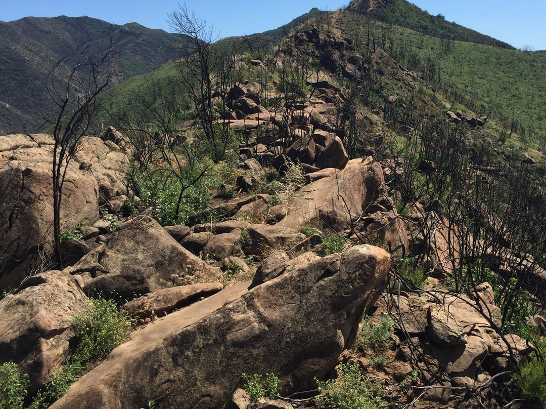 Stebbins Cold Canyon Reserve-Winters必去景点