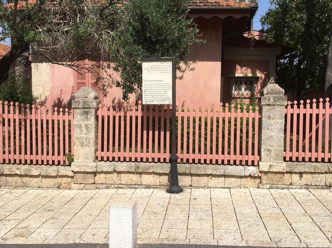 Beit Aaronsohn - N.I.L.I. Museum-Zichron Yaakov必去景点