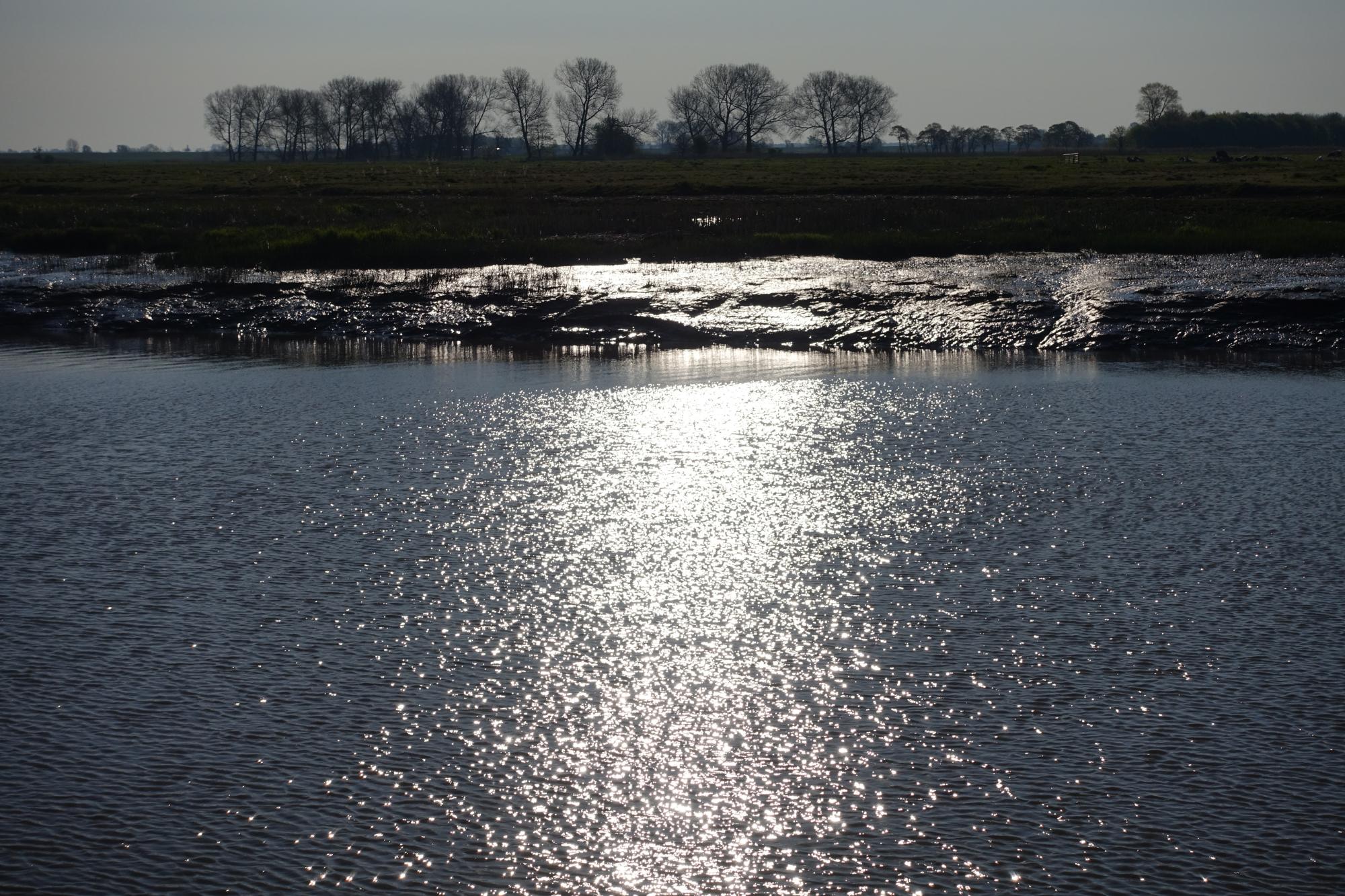 Faehrhaus Wischhafen-官方