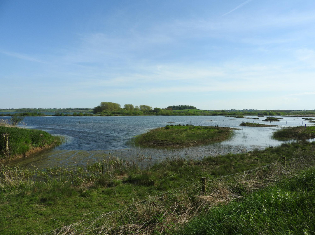 Rutland Water Nature Reserve (Anglian Water Bird Watching Centre)景点图片