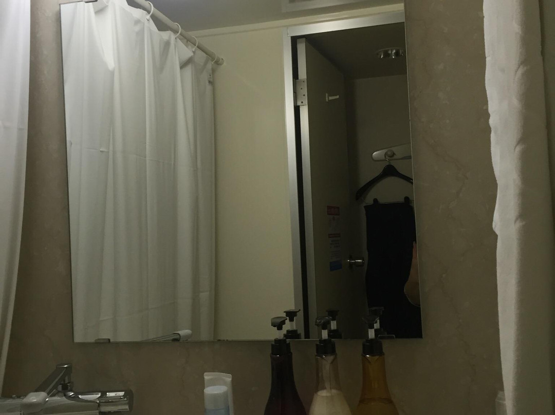 Mihara City Hotel主图