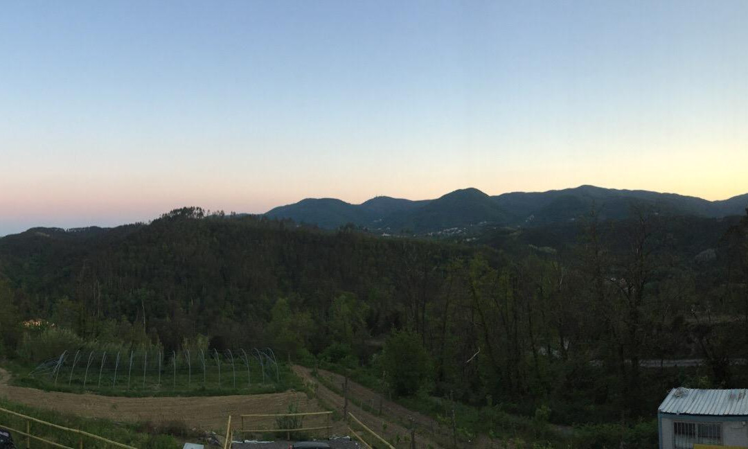 Polverara旅游攻略图片