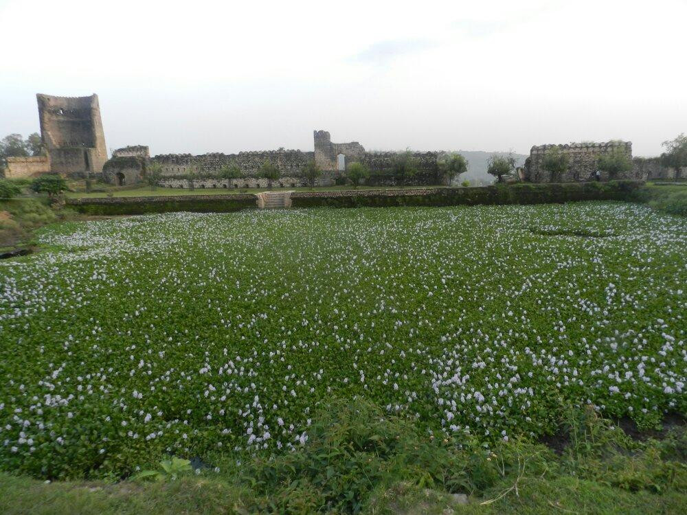 Nurpur Fort, Himachal Pradesh景点图片