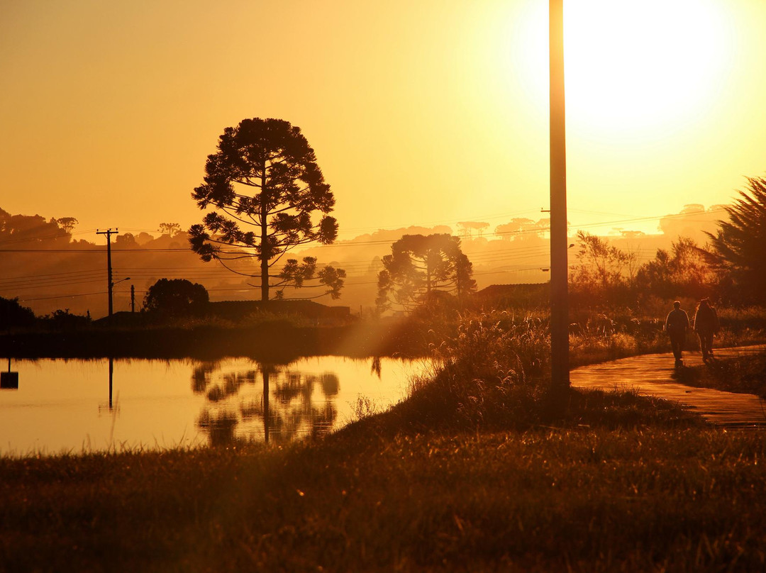 Parque Municipal das Araucarias景点图片