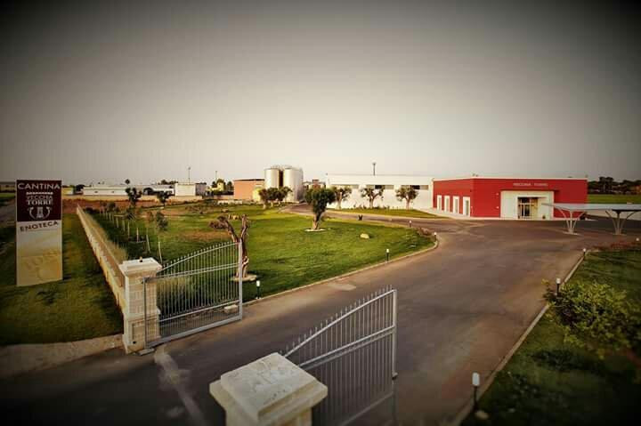 Leverano旅游景点-Cantina Vecchia Torre