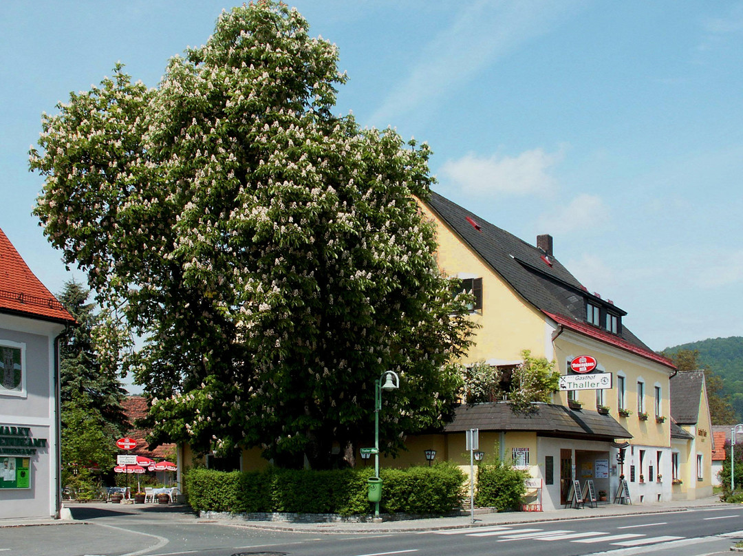 Wildon酒店住宿-Gasthof Thaller