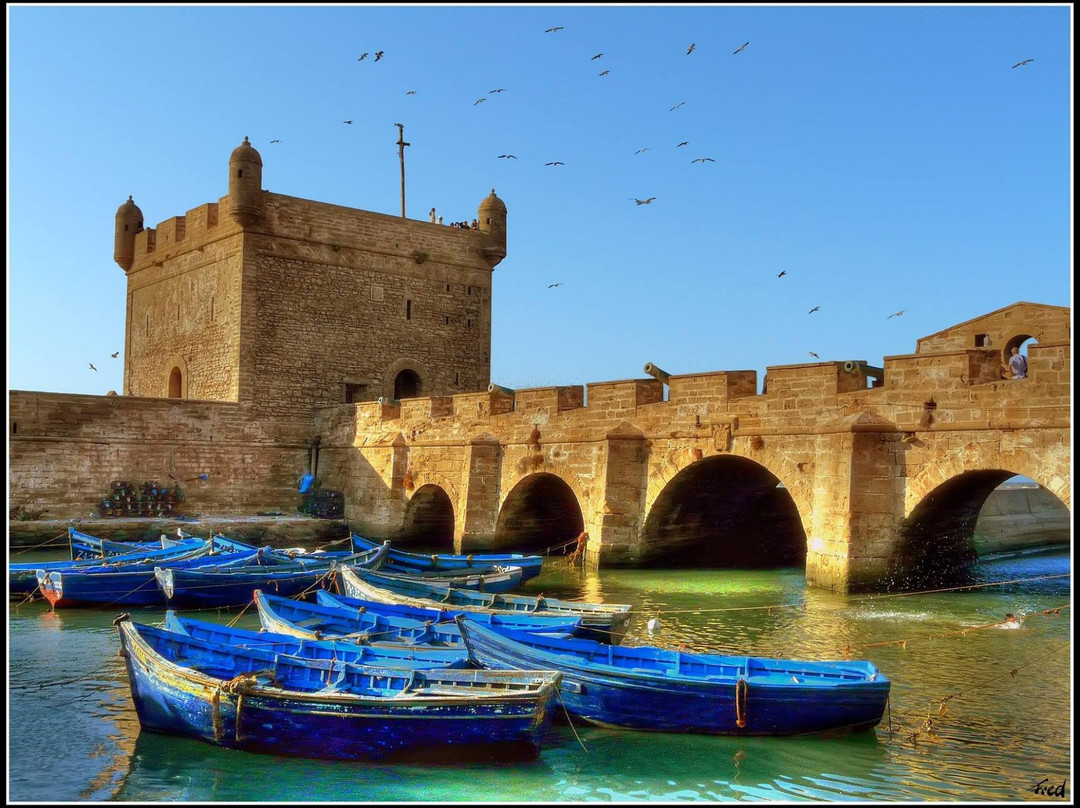 Morocco Private Tours