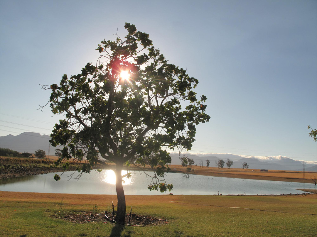 Klein Eikeboom主图