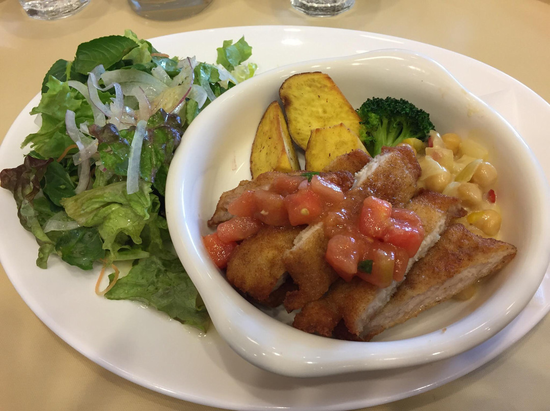 Capo PELLICANO 本郷店