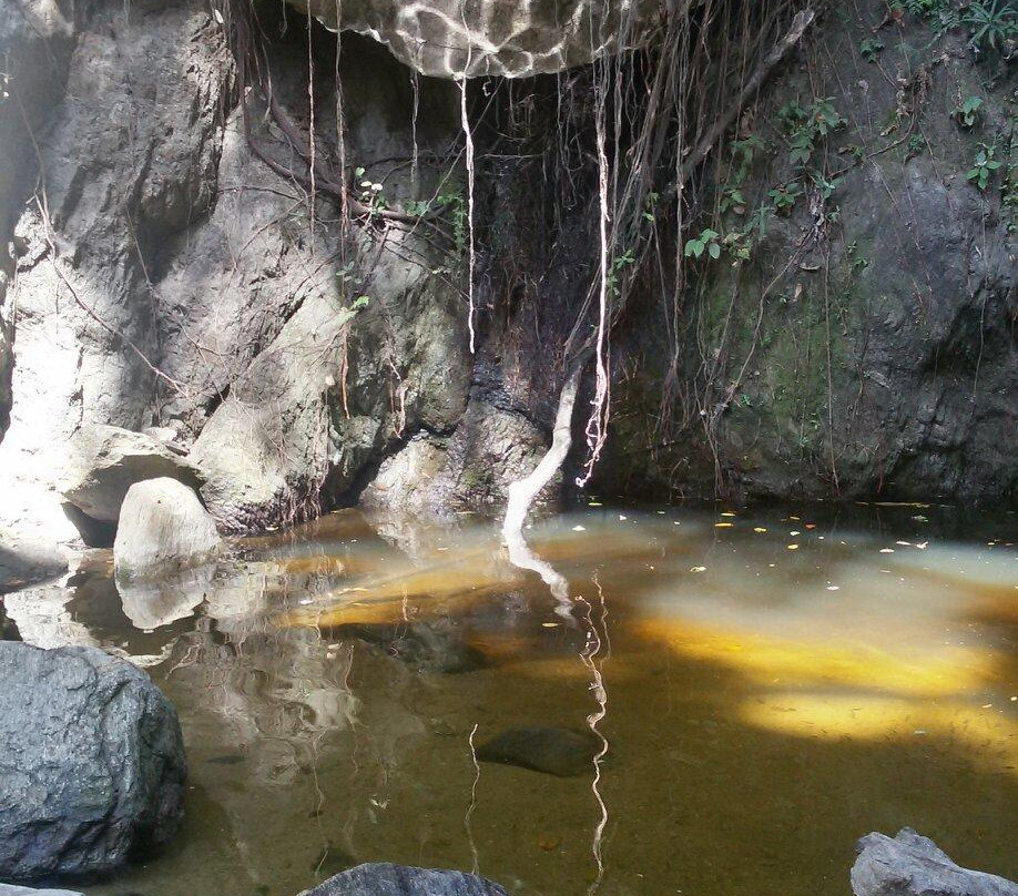 Los Chorros Park景点图片