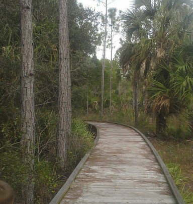 Withlacoochee Gulf Preserve-Yankeetown必去景点