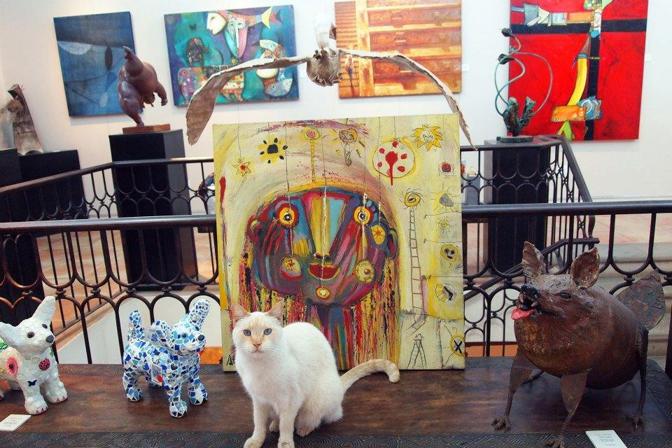 Galeria de Ida Victoria-圣何塞卡波必去景点