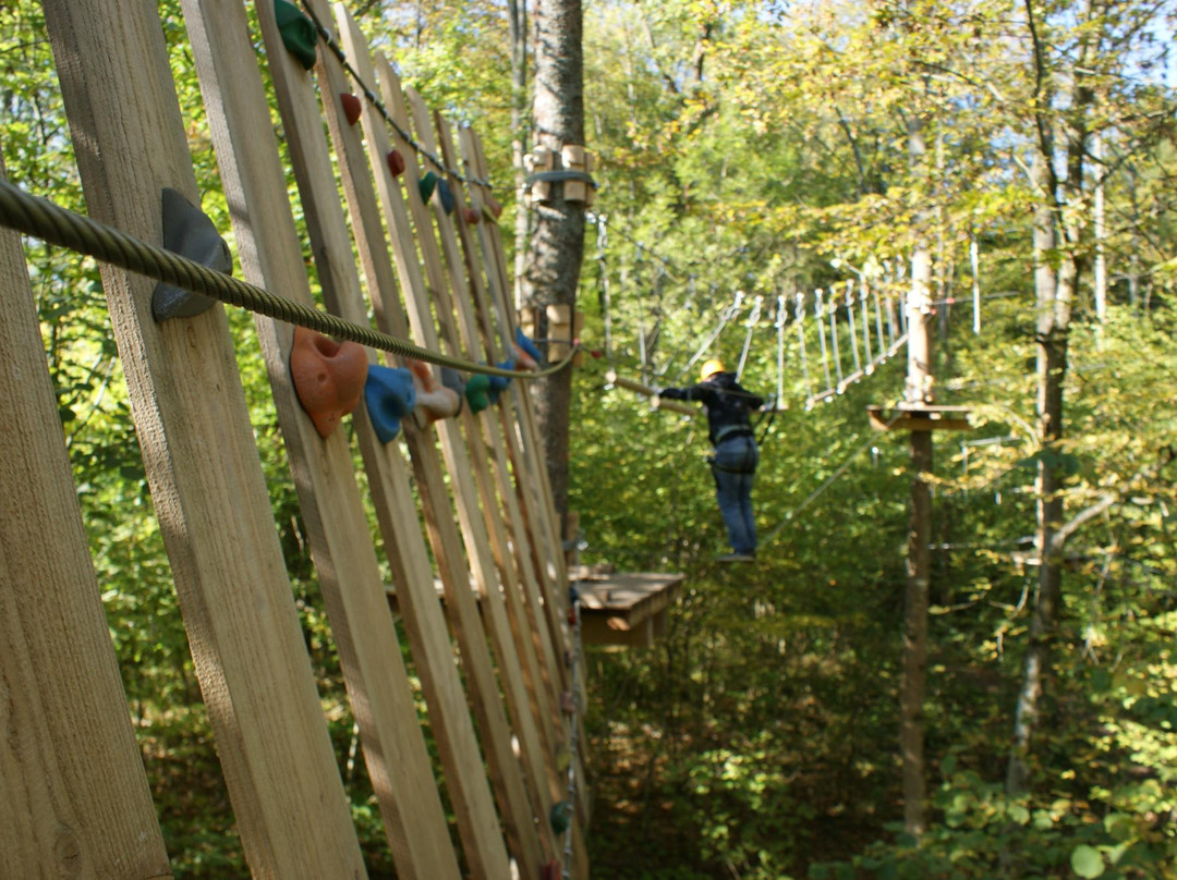 Kletterwald Illingen景点图片
