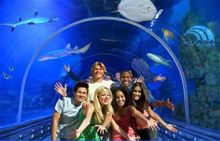 Hurghada Grand Aquarium景点图片