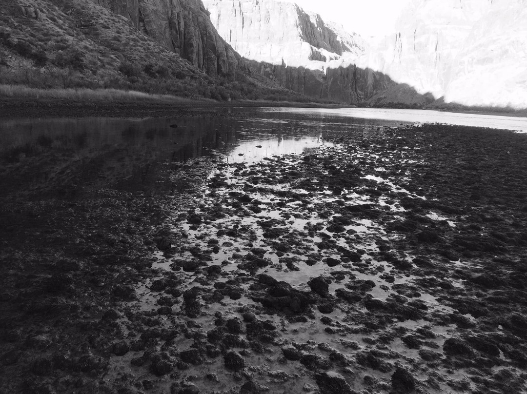 Lees Ferry On The Fly-大理石峡谷必去景点