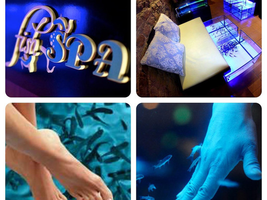 Fish Spa Vilnius-维尔纽斯必去景点