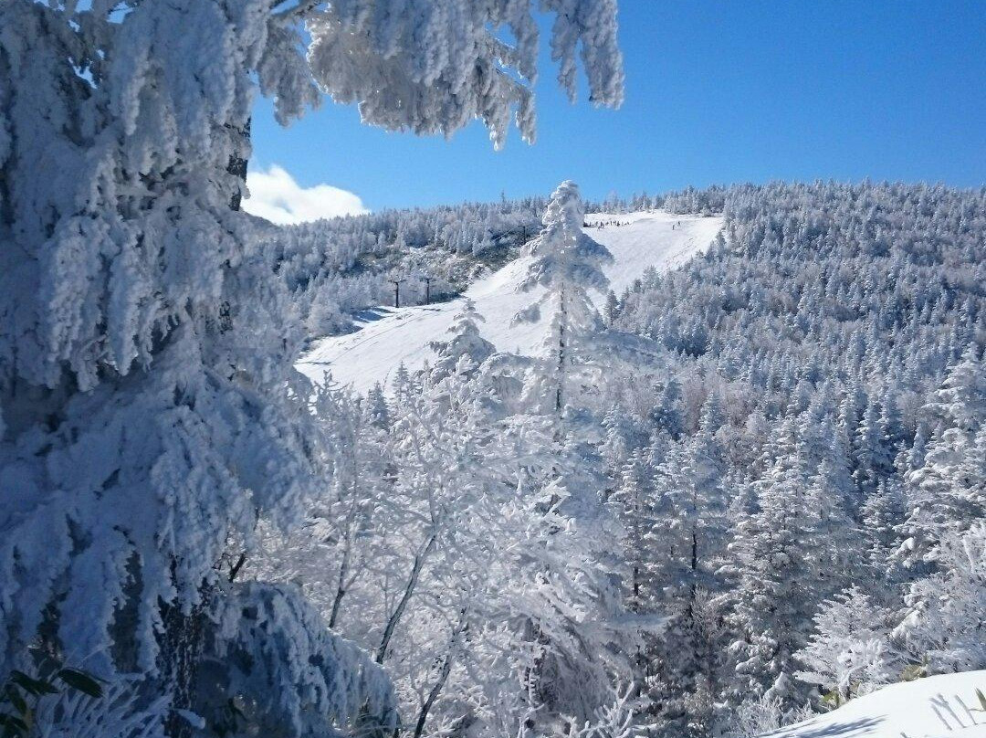Shiga International Ski School景点图片
