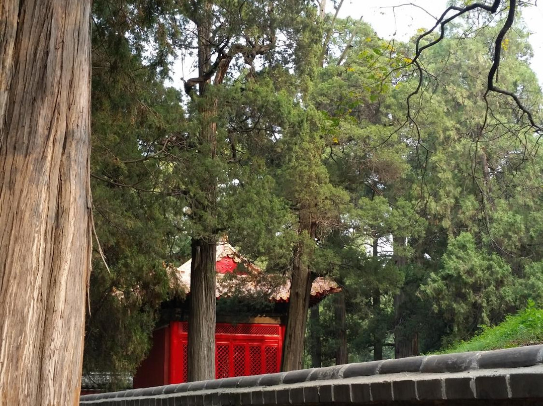 梁公林-曲阜市必去景点