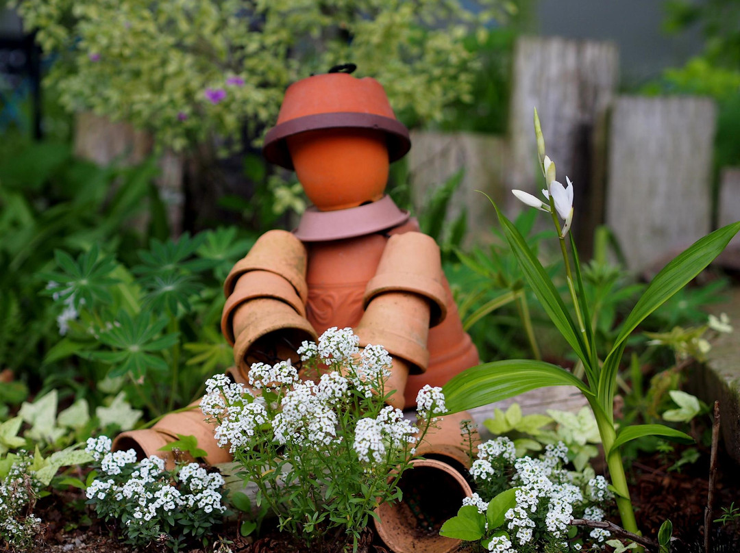 Osaka Prefecture Flower Garden-河内长野市必去景点