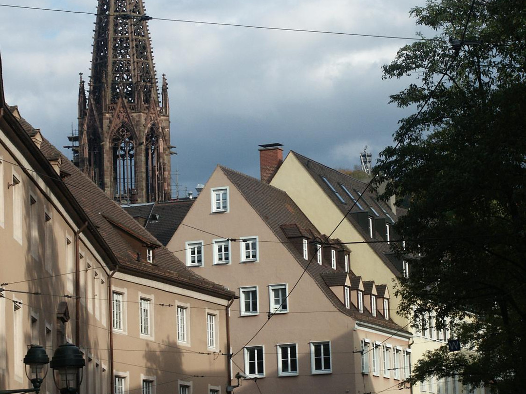 Stadtbibliothek Freiburg景点图片