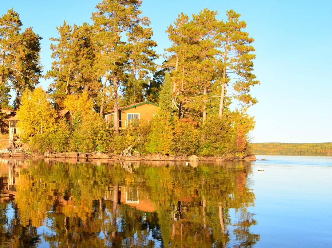Timber Point Camp