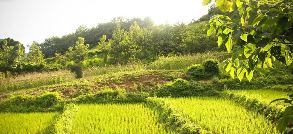 Kanhya Tours-旺阳必去景点