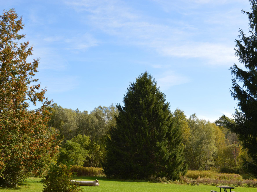 Heber Down Conservation Area-Whitby必去景点