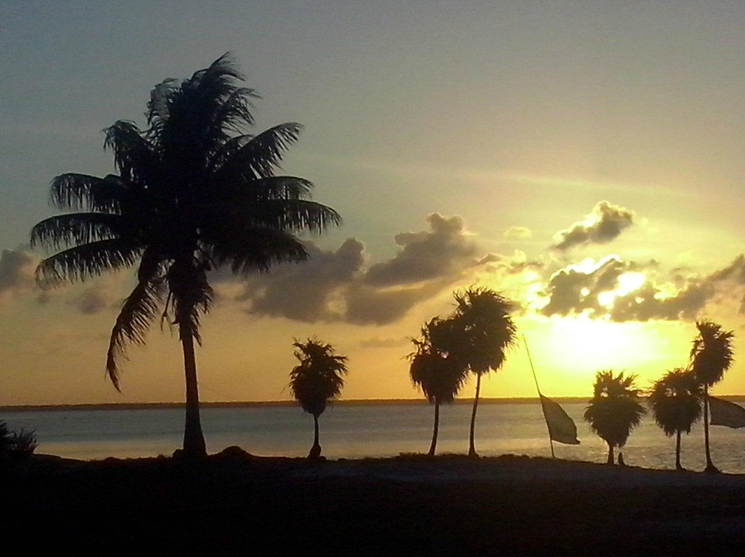 Ikarus Kiteboard Mexico-女人海滩必去景点