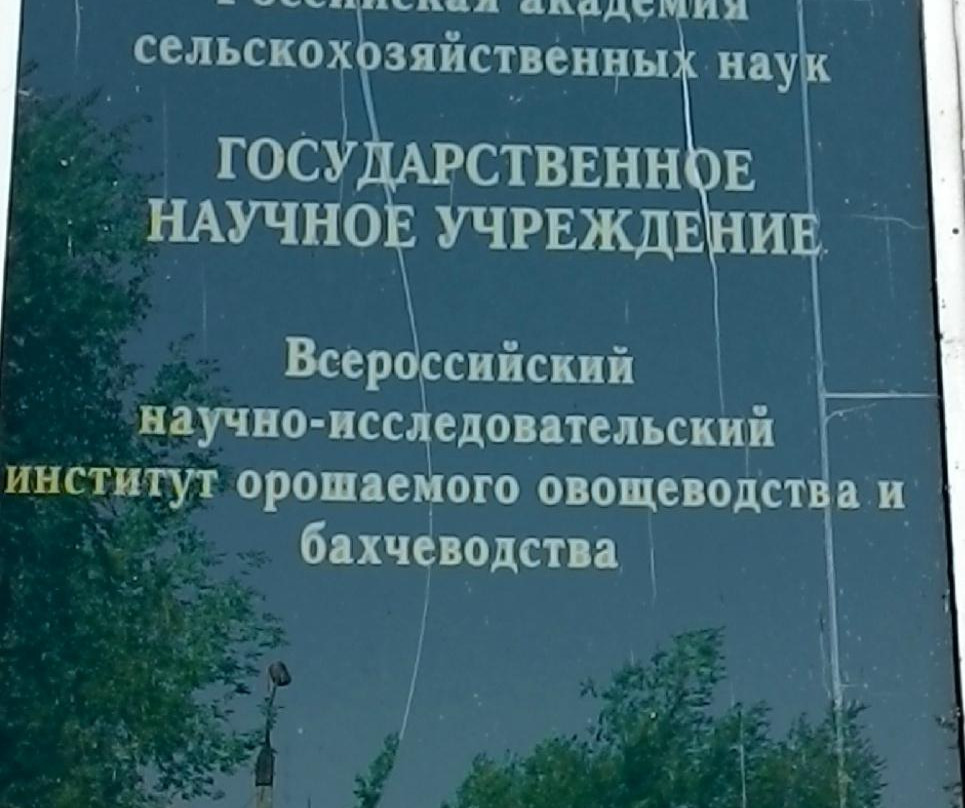 Russian Watermelon Museum (Rossiyskiy Arbuz)-Kamyzyak必去景点