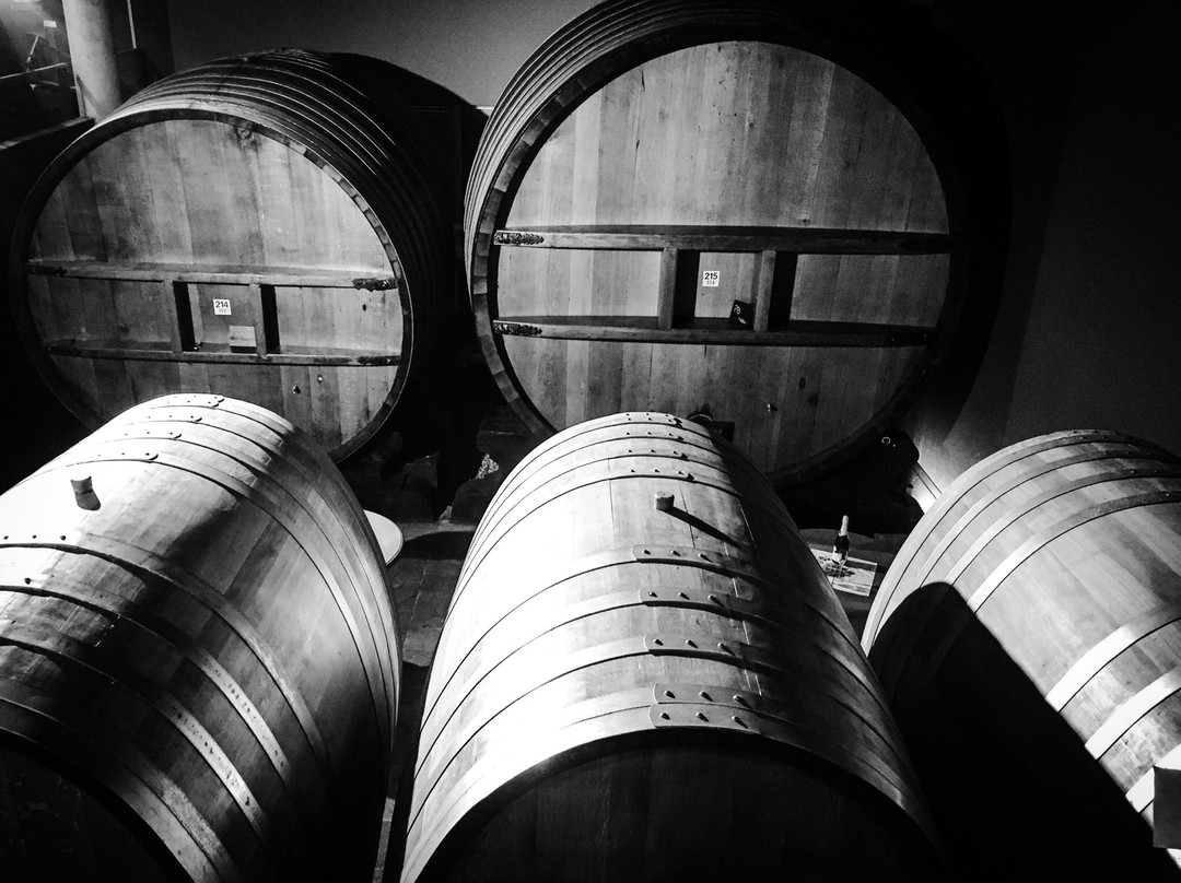 Vignoble Jean Geiler景点图片