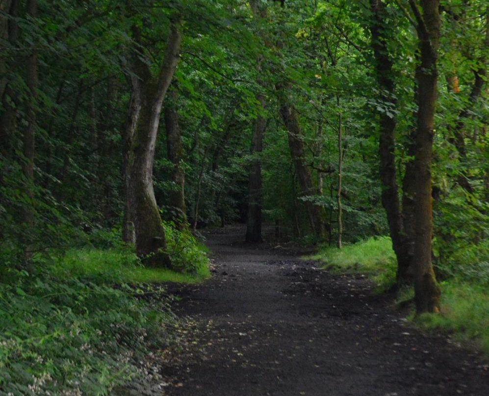Lilford Park景点图片