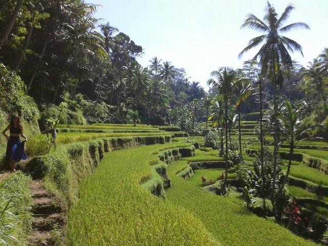 Bali Cultural & Eco Tours景点图片